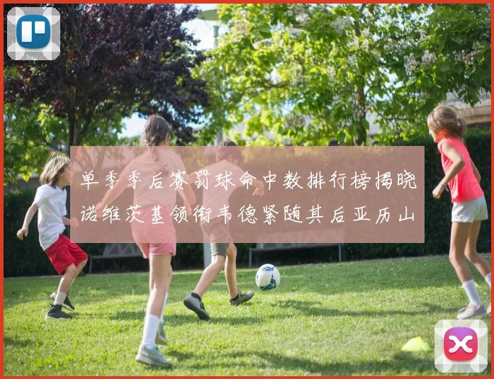 单季季后赛罚球命中数排行榜揭晓诺维茨基领衔韦德紧随其后亚历山大名列第四
